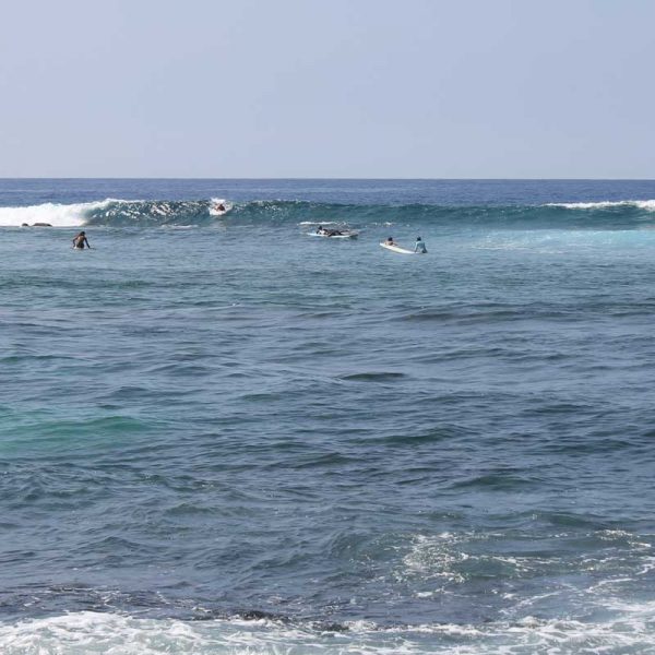 Kona Surfing at Kahaluu Beach, Kona Surfer's Rock