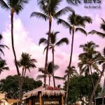 Beach Shack Palm Trees