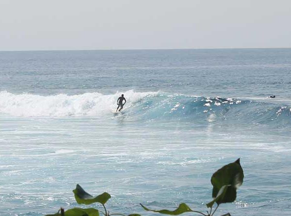 Surf Kona