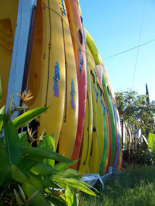 kona kayak rentals