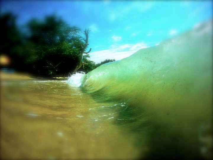 surf report