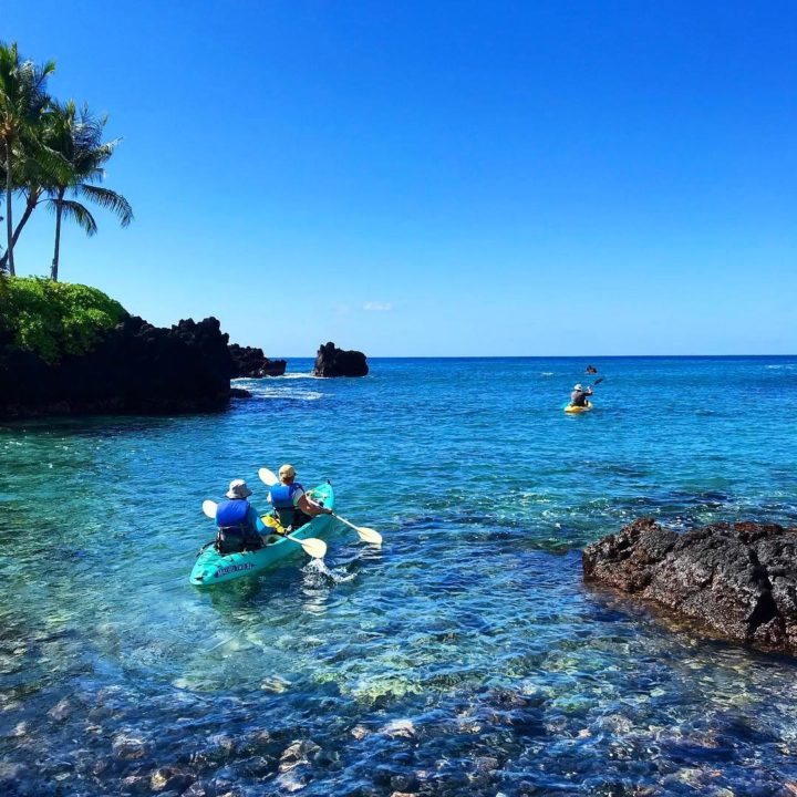 kealakekua snorkel tour