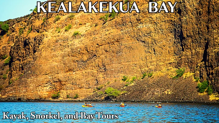 Guided Tours Kealakekua Bay