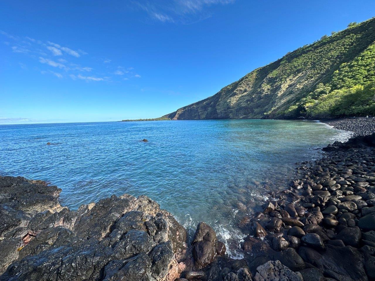 Kealakekua-Bay-Tour-Reviews